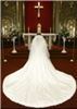 Digital Concepts Photography, Jacksonville