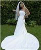 Digital Concepts Photography, Jacksonville