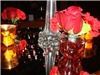AZ Pink Events, Tucson