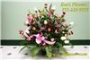 Eva's Flowers, Chicago