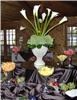 Occasions by Candice, Columbia — Centerpiece and Fruit Display Wedding 2008