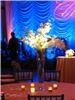 Charleston Flower Market Inc, Charleston — Known for our years of experience, creativity and unique style, Charleston Flower Market has attracted the attention of numerous brides and celebrity clients. From single stems to full scale floral design, let our innovative designers help you choose the perfect flowers for your wedding and a style that is custom made for you.  www.cfmweddings.com