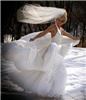 Happily Ever After Photography, Saint Paul