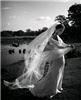 Happily Ever After Photography, Saint Paul