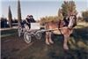 McKee Ranch, Las Vegas