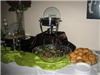 Fanti Events & Decor, Suwanee