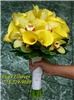 Eva's Flowers, Chicago