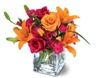 Flowers By Tiffany LLC, Stafford