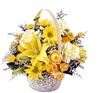 Flowers From the Rainflorist, Fort Lauderdale