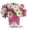 Flowers From the Rainflorist, Fort Lauderdale