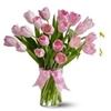 Flowers From the Rainflorist, Fort Lauderdale