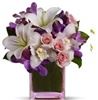 Flowers From the Rainflorist, Fort Lauderdale