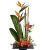 Flowers From the Rainflorist, Fort Lauderdale