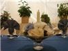 Polonaise Banquet & Conference Center, Albany