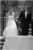 Miller Media Vision, New Hudson — Family owned and operated with your family in mind.25 years of experience in photography and videography. Capturing your wedding with beauty and memories in mind. We also can webcast your wedding live or delayed for family and friends around the world.