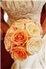 Blackbird Photography, Knoxville
