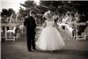 Timeless Portraits by Rhonda, Murrieta