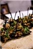All About Catering Co., Phoenix — Southwestern Black Bean Cake with Pulled Pork