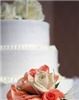 Wedding Story, Annandale