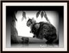 Bayline Studios, Owings Mills