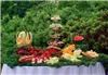 Academy Events & Catering, Wetumpka