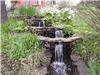 Alda's Magnolia Hill, Little Rock — Koi Pond