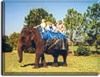 Promotions Plus, Brooksville — Elephant Rides Available For Private Rentals