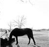 Valerie Sebestyen Photography, Norman