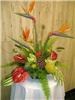 Flowers Plus, Charlotte — Cameron Tropicals