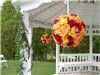 Flowers Plus, Charlotte — Rose Balls