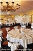 Make A Memory Event Planning, Newark — Premium Ostrich Feathers are a beautiful center peice at any occasion. We rent them andy size.