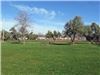Martin Luther King, Jr. Park, Oroville — The park's multi-use turf area.