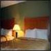 Comfort Inn Millennium, Greenville — Room with 2 queen beds