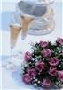 Something To Celebrate Event & Wedding Planning LLC, Detroit
