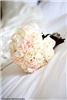 Unique Event Design LLC, Tampa