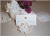 Moore Creative, Saint Petersburg — Shell Place Card Holder