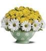 Hillside Florist, Rancho Palos Verdes