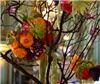 CallaLily Flowers and Floral Supplies, Castro Valley