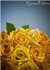 JESPhotography, Cranberry Township