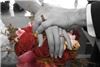 Beautiful Memories Photography, Aurora — Hands & Hearts joined in Marriage.