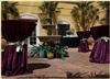 La Quinta Inn and Suites Conference Center, San Antonio — Courtyard