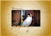 Click to see Profile