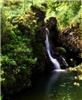 Photo Images Incorporated, Northbrook