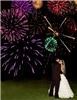 Photo Images Incorporated, Northbrook
