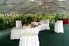 Garden Gazebo and Tented Reception Area, The Inn At Chester Springs, Exton — Outdoor Cocktail Hour served under the tent adjacent to the Garden Gazebo and overlooking the pool.