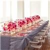EventSetters, Miami