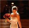 Ilonka Floral Decorator, Malvern