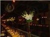 Ilonka Floral Decorator, Malvern