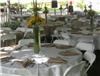 Exquisite Catering By Robert, Miami
