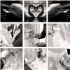 Made For Each Other Weddings, Clearwater